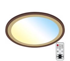 Brilo Brilo - LED Stmievateľné stropné svietidlo SLIM LED/22W/230V 2700-6500K + DO