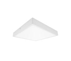 61003672 - LED Kúpeľňové stropné svietidlo EGON LED/30W/230V IP44 4000K