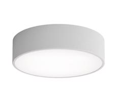 Brilagi Brilagi - Kúpeľňové stropné svietidlo CLARE 2xE27/24W/230V pr. 30 cm IP54 šedá