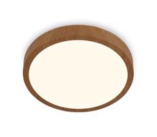 Brilo Brilo - LED Stropné svietidlo RUNA LED/12W/230V