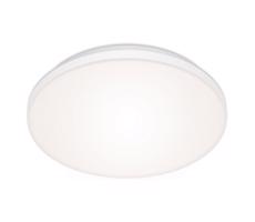 Briloner 7377-016 - LED Stmievateľné stropné svietidlo LED/12W/230V 3000-6500K