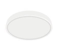 Emithor Emithor  - LED Kúpeľňové stropné svietidlo LENYS LED/24W/230V IP44