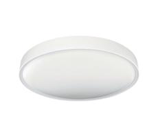 Greenlux LED Stropné svietidlo SAMER LED/24W/230V 4000K