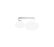 Ideal Lux Ideal Lux - LED Stropné svietidlo NINFEA 2xG9/3W/230V biela