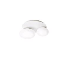 Ideal Lux Ideal Lux - LED Stropné svietidlo NINFEA 2xGX53/9W/230V biela