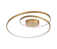Ideal Lux Ideal Lux - LED Stropné svietidlo OZ LED/47W/230V pr. 60 cm CRI 90 zlatá
