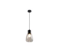 Luster na lanku MOLDO 1xE27/40W/230V čierna/číra
