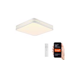 Neo NEO 07155-W30 - LED Stmievateľné svietidlo PERFECTO 24W/230V Wi-Fi Tuya + DO