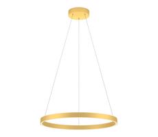 Redo Redo 01-2865 - LED Stmievateľný luster na lanku FEBE LED/37W/230V zlatá