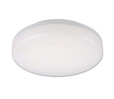 TOP LIGHT Top Light Leon K - LED Vonkajšie stropné svietidlo LED/15W/230V IP44