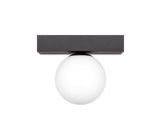 Zuma Line Zuma Line 1206 - Stropné svietidlo SPHERE 1xG9/8W/230V čierna
